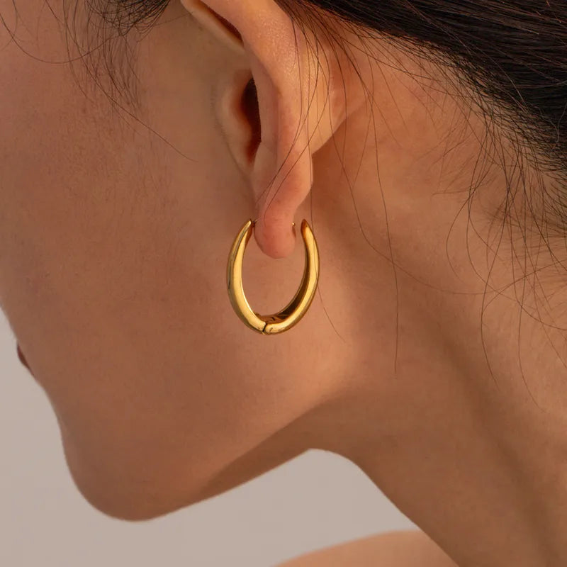 18K Gold Plated Earrings