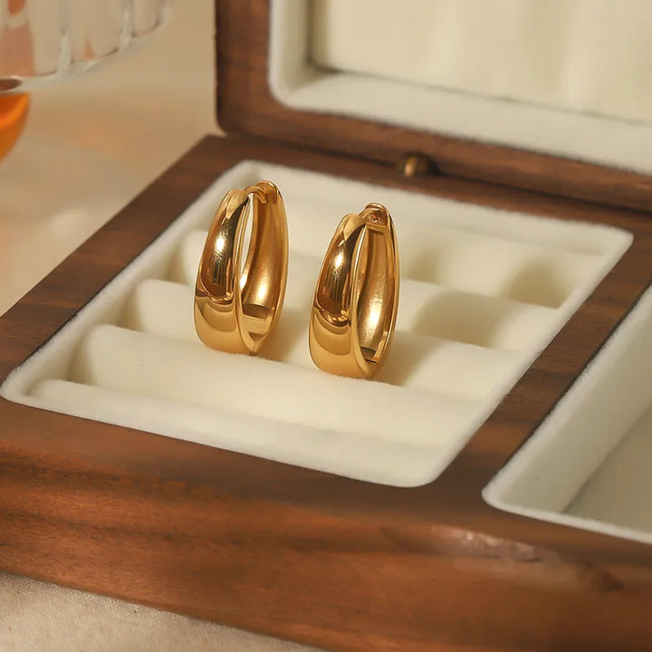 18K Gold Plated Earrings